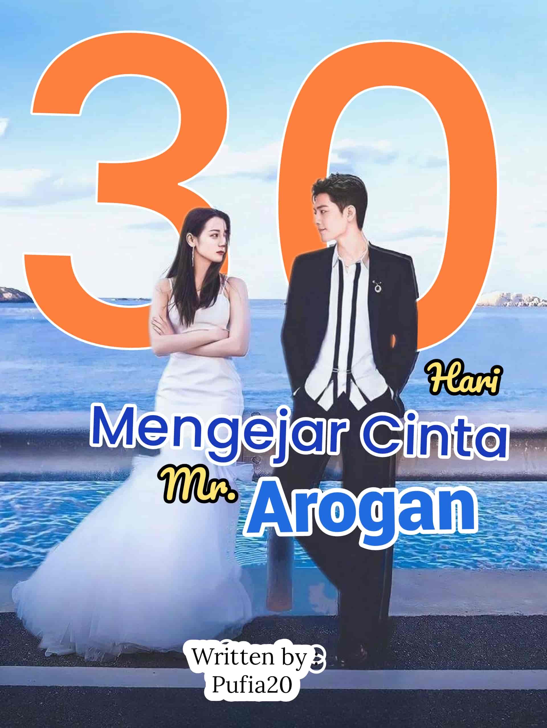30 Hari Mengejar Cinta Mr. Arogan 
